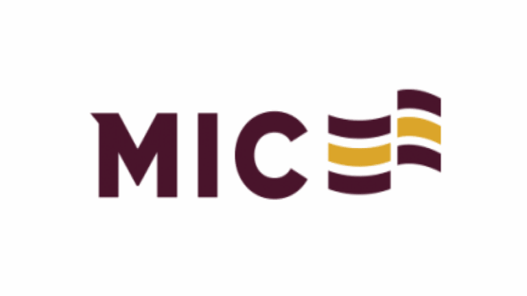 mic (1)